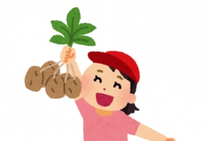 小女孩在田间拔土豆
