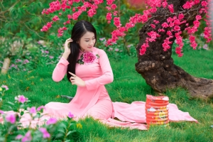 草地 樱花 粉色裙子美女6K图片