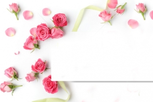 七夕情人节粉色玫瑰花背景Banner
