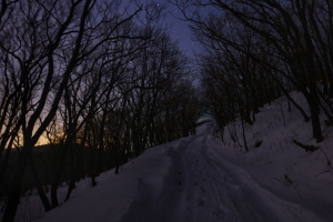 路 雪 树 夜晚 冬季 4k壁纸 3840x2160