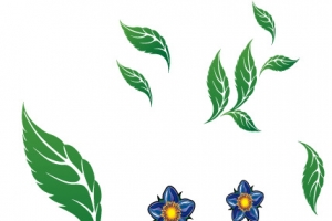 漂浮的树叶花朵