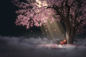 少年锦衣卫 树 花瓣 唯美4k壁纸