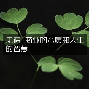 见识，洞悉商业精髓与人生智慧的自然纪实阅读