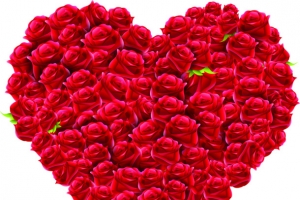 鲜艳玫瑰爱心装饰