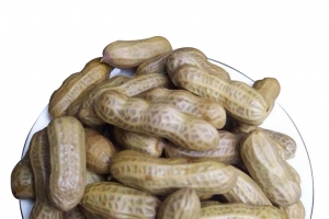 水煮花生高清PNG透明免抠图片-零食设计素材免费下载