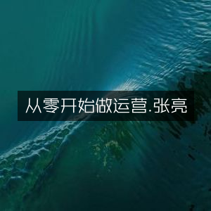 从零开始掌握运营，张亮力作，提升个人能力的必读之书
