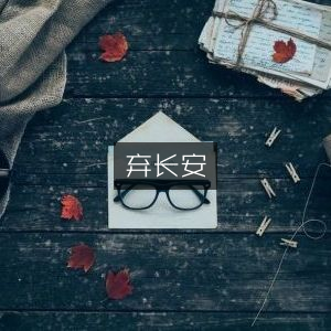 弃长安，探索历史文化的深度书籍