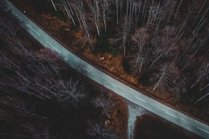 森林 鸟瞰图 秋天 树木 树枝 道路 4k壁纸 3840x2160