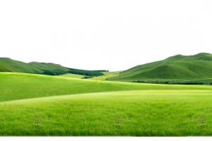 草地 草原素材
