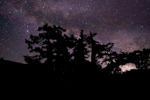 树 树枝 夜晚 星星 星空 4k壁纸 3840x2160
