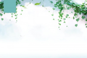 简约小清新家纺促销