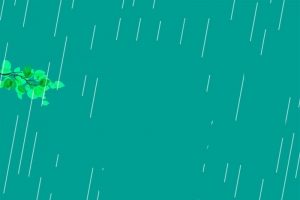 小清新二十四节气雨水海报