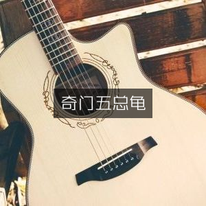 奇门五总龟，古典文集精选