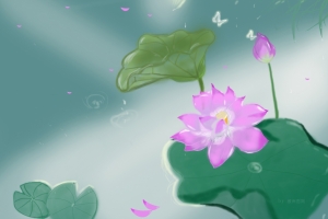 原创 荷塘 荷花 花瓣 蝴蝶 唯美手绘荷花4k高清壁纸
