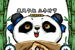 二十四节气 立冬 手绘元素 卡通熊猫