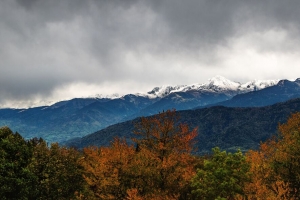 树木 山脉 山峰 雪 风景 4k壁纸 3840x2160
