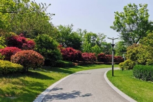 公园绿地的景观