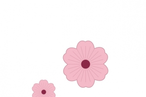 日本樱花