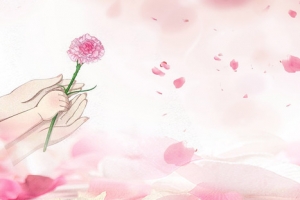 母亲节一支康乃馨海报banner
