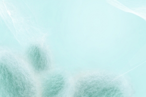 淘宝家纺蚕丝被蚕茧蓝色梦幻banner