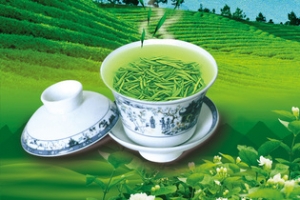 茶背景