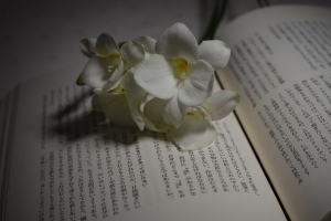 花 花瓣 书 象形文字 阅读 4k壁纸 3840x2160