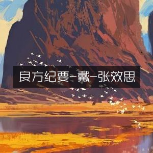 良方纪要·戴张效思篇|古典文集精选
