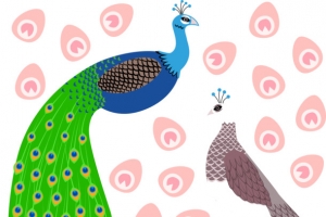 矢量孔雀与小鸟