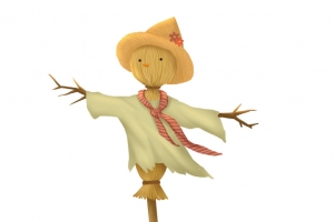 稻草人 稻草 庄稼人 守护