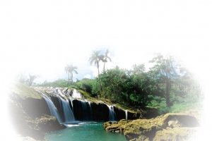 热带风景高清PNG透明背景摄影设计素材免费下载