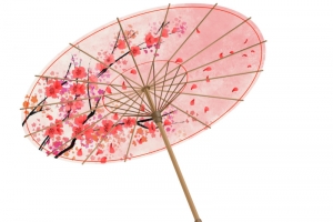 唯美古风手绘油纸伞