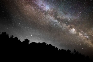 树 剪影 星云 星星 深色 4k壁纸 3840x2160
