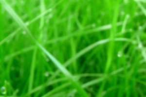天猫 淘宝 banner 背景