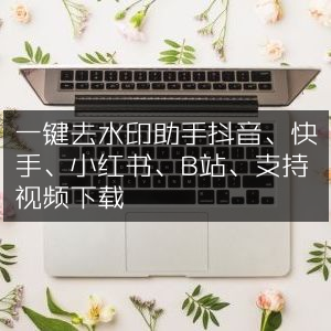 一键去水印下载助手，支持抖音快手小红书B站视频