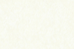 可爱疯狂动物城4k手机壁纸竖屏