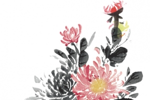 水墨画  菊花