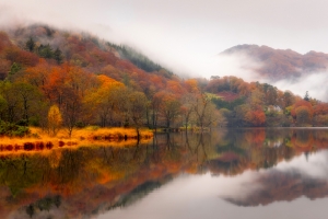 森林 薄雾 秋天 湖泊 山水倒影 4k风景壁纸