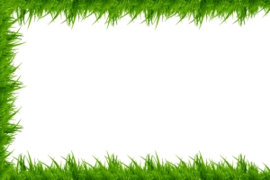 边框草地创意文艺绿色banner背景