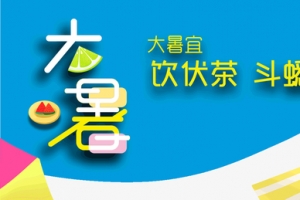 大暑饮伏茶斗蟋蟀