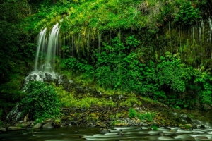 瀑布 植被 草地 苔藓瀑布 加利福尼亚 4k壁纸 3840x2160
