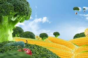 玉米蔬菜风景banner