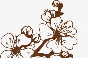 手绘樱花素材