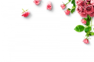 38妇女节主题玫瑰创意边框