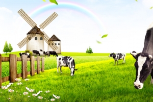 清新牧场banner