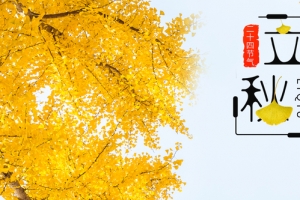 二十四节气立秋落叶banner海报