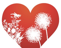 烟花花纹红心图标