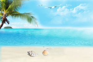 海边沙滩唯美banner