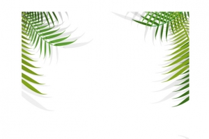植物边框
