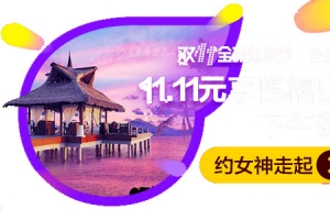 双十一飞猪