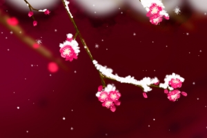 大雪冬至梅花banner
